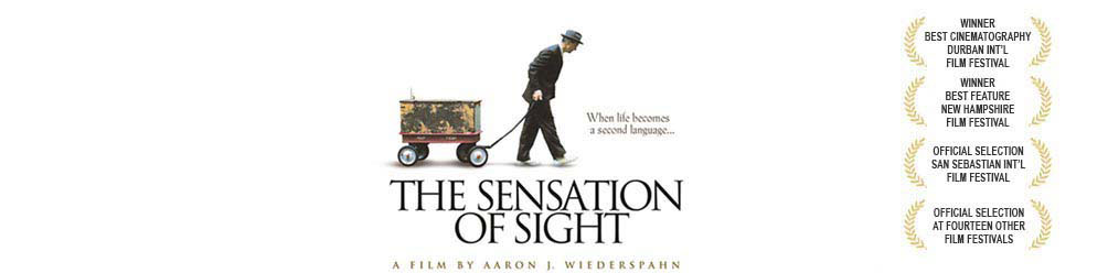 The Sensation of Sight