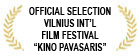 official_selection_vilnius international film_festival kino pavasaris