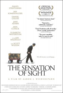 The Sensation of Sight poster